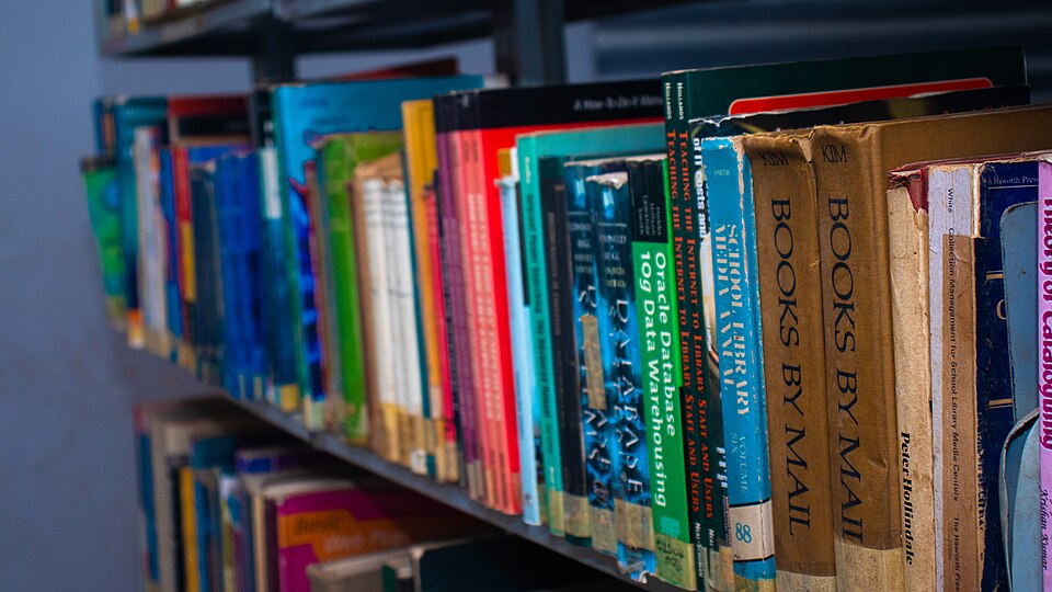 図書館の本棚に並ぶ本