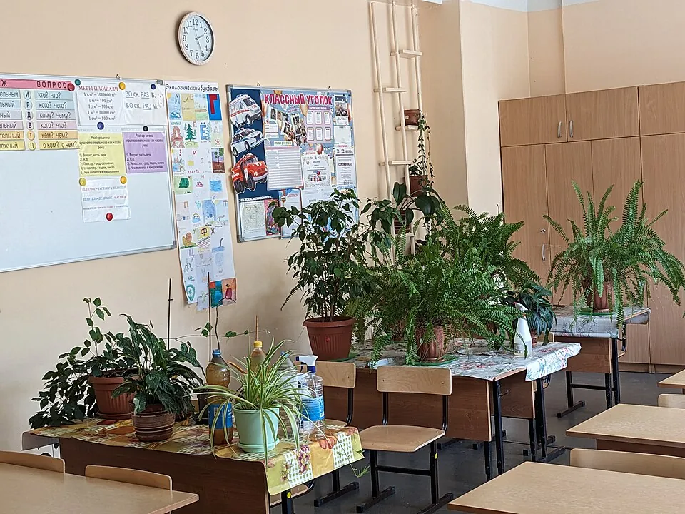 植物の鉢が並んだ、誰もいない教室